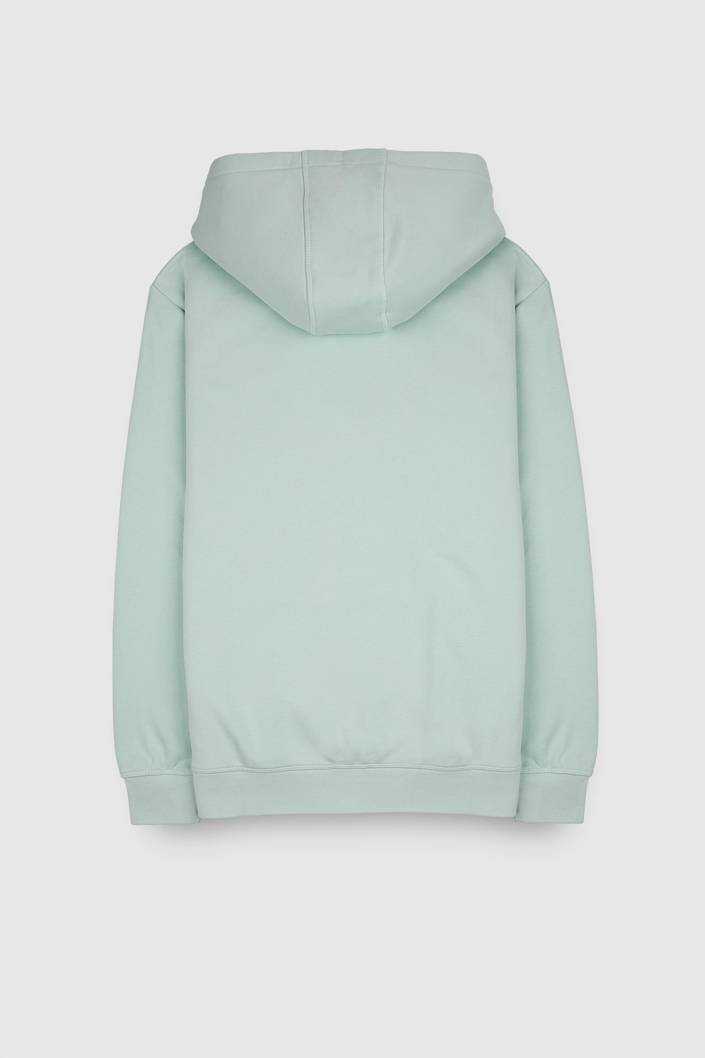 Sweat à capuche S-NARK HOODY STONE MINT